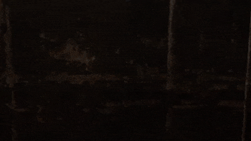 Wall GIF