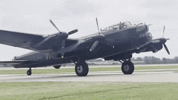 Canada Airplane GIF