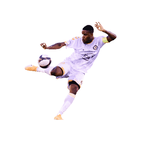 NISA Soccer Sticker