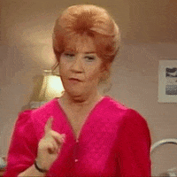 the facts of life 80s tv GIF by absurdnoise