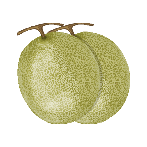 Melon Tieten Sticker by #safesexting for iOS & Android | GIPHY