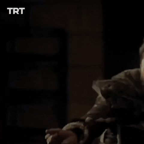 game of thrones fight GIF by TRT