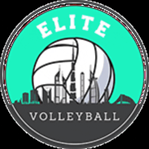 Elite Volleyball Academy Dubai GIF
