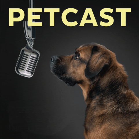 tony_petfluencer_agency dog podcast agency tony GIF