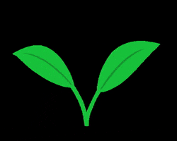 akiirarivero green plant glass eco GIF