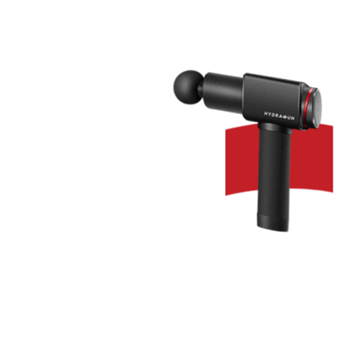 HYDRAGUN Sticker