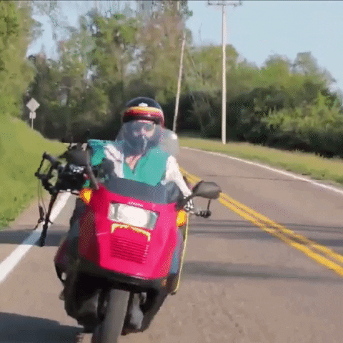 Racing Ride GIF by Pit Viper