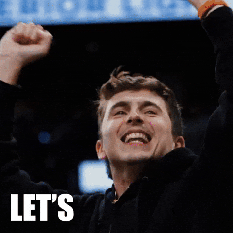 Timothee Chalamet Knicks GIF