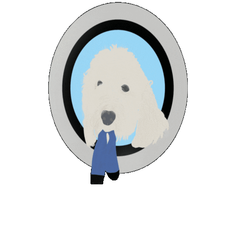 Washermans Laundromat Sticker