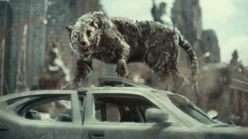 Zack Snyder Zombie GIF by NETFLIX - Find & Share on GIPHY