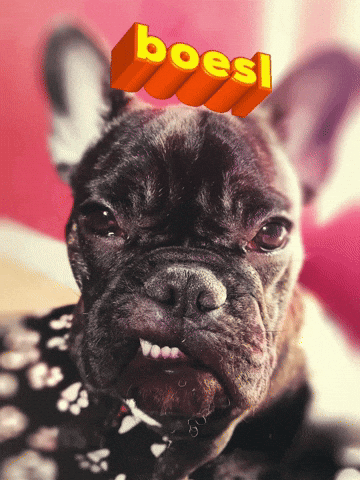 Boesl GIF