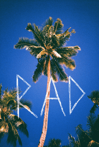 rad palm tree GIF