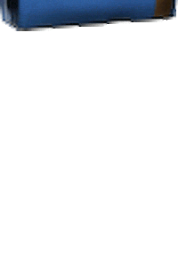 ANS Performance Sticker