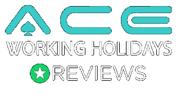 Summer Beach Sticker by AceWorkingHolidays