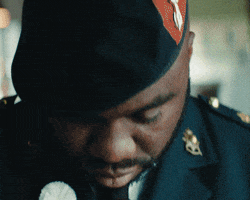 Veteranendag GIF