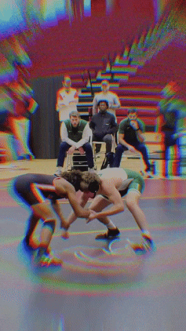 Wrestling GIF