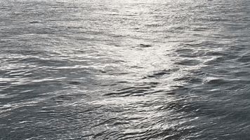 Nature GIF