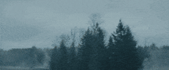 Explosion Gore GIF