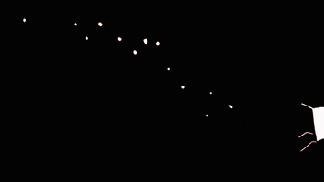 Party GIF