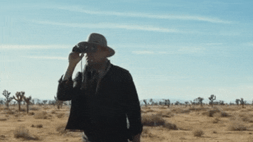 TJ Jackson GIF