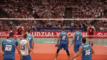 Happy Celebration GIF by Volleyball World