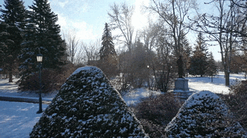Winter Uvm GIF by University of Vermont