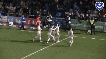Fans Celebrate GIF by Portsmouth Football Club