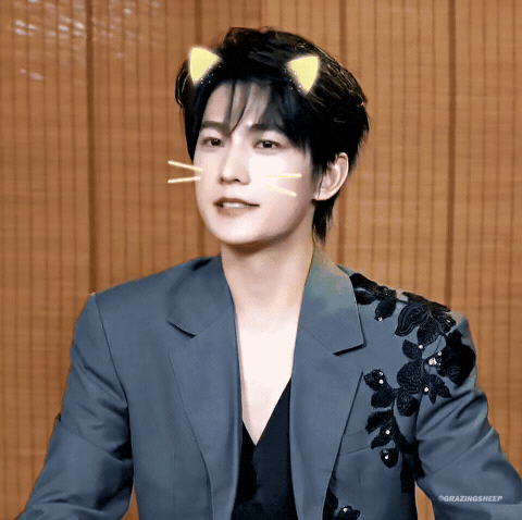 Cat Yangyang GIF