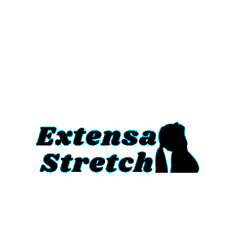 Fitness Workout Sticker by Extensa method