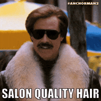 will ferrell hair GIF by Anchorman Movie
