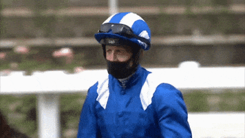 Horse Racing Thumbs Up GIF by Ascot Racecourse