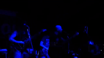 pitskhela #*shels #conference of the birds GIF