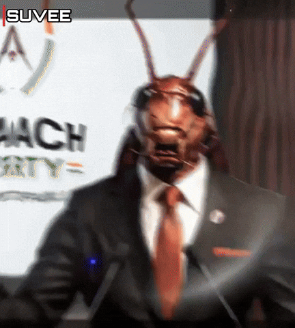 Party Z GIF