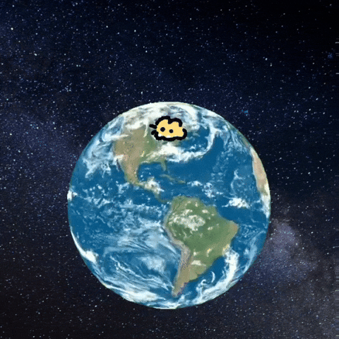 Cat Rotate GIF