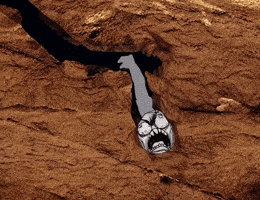 GIF by Rageguy