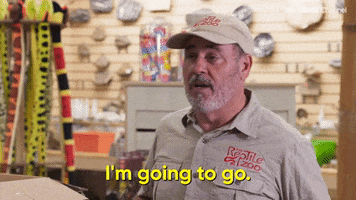 You Got This Season 1 GIF by The Roku Channel