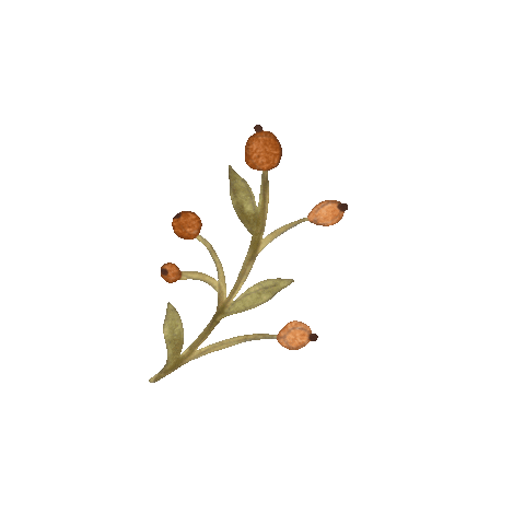 Animated Sticker
