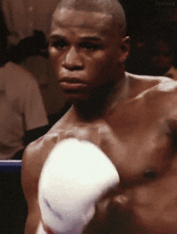 floyd mayweather mayweather floyd GIF