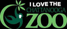 Chattanooga Zoo GIF