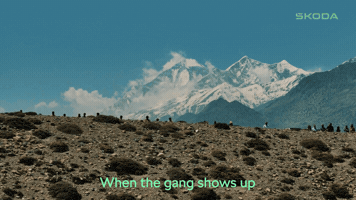 Road Trip GIF by Skoda India