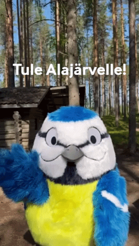 Alajärven Kaupunki GIF