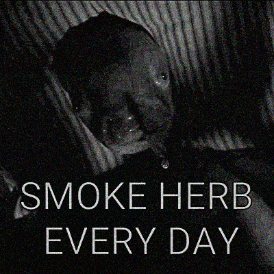 Day Smoke GIF