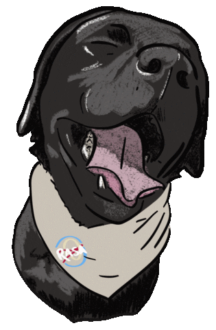 Tr1 Sticker