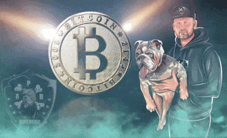 APB_Bulldogs bitcoin bulldog english bulldog pharaoh GIF