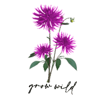 Grow Go Wild Sticker