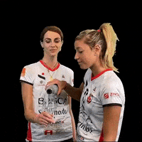 Wine Volleyball GIF by cuneo_granda_volley