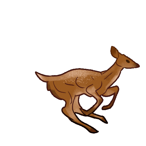 Deer Running Sticker by Contextual.Matters