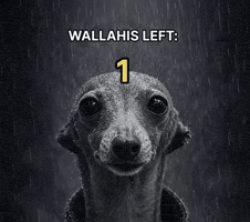 Dog Wallahi GIF