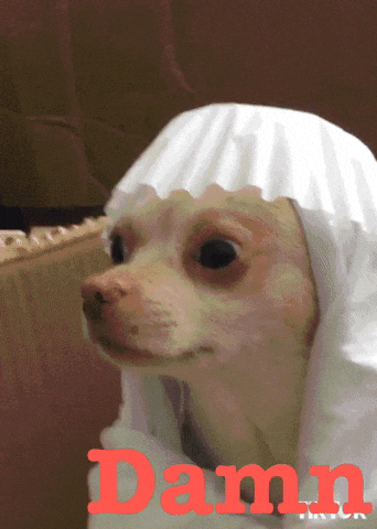 Damn GIF