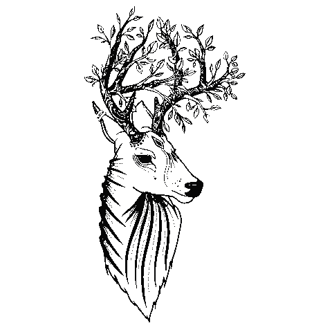 Animated Sticker